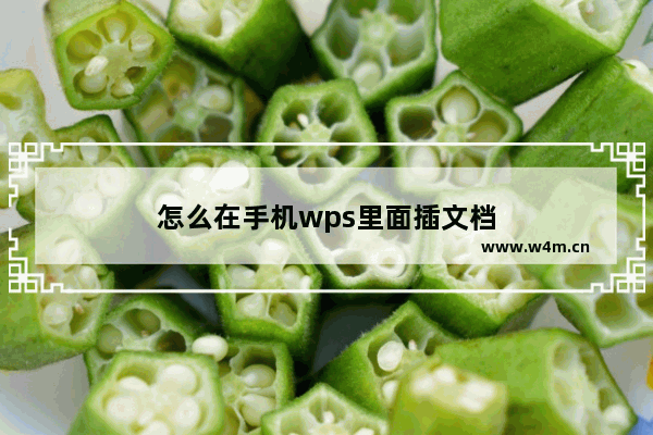 怎么在手机wps里面插文档