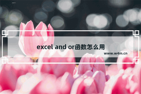 excel and or函数怎么用