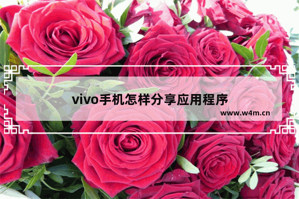 vivo手机怎样分享应用程序