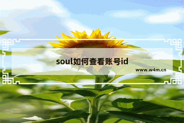 soul如何查看账号id