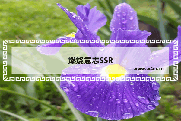 燃烧意志SSR