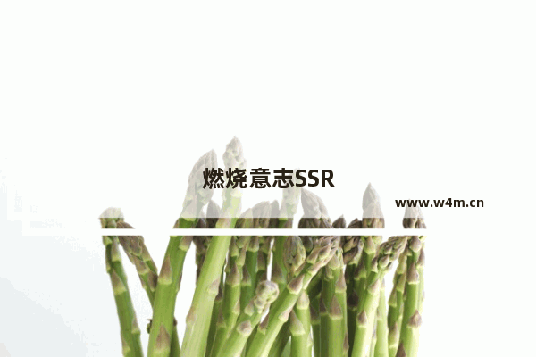 燃烧意志SSR