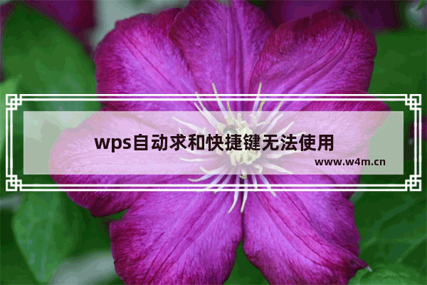 wps自动求和快捷键无法使用