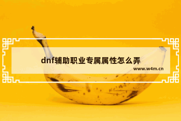 dnf辅助职业专属属性怎么弄