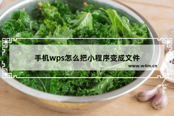 手机wps怎么把小程序变成文件