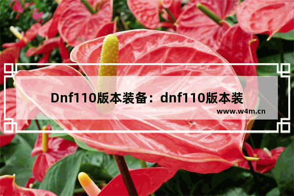 Dnf110版本装备：dnf110版本装备还有套装属性吗