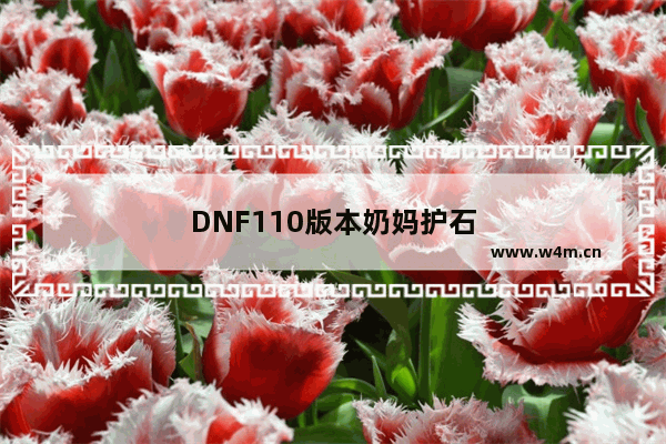 DNF110版本奶妈护石