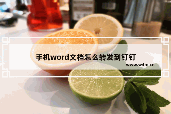 手机word文档怎么转发到钉钉