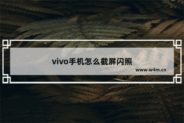 vivo手机怎么截屏闪照