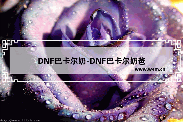 DNF巴卡尔奶-DNF巴卡尔奶爸