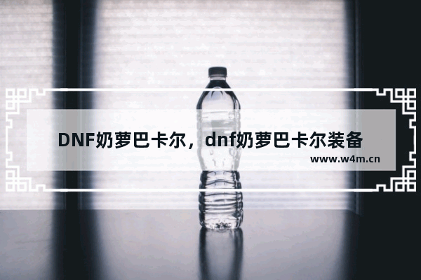 DNF奶萝巴卡尔，dnf奶萝巴卡尔装备