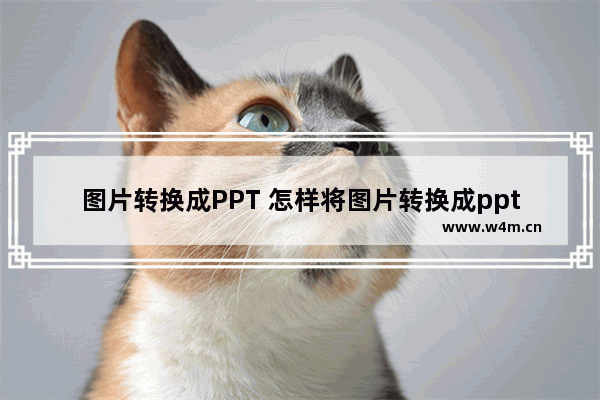 图片转换成PPT 怎样将图片转换成ppt背景