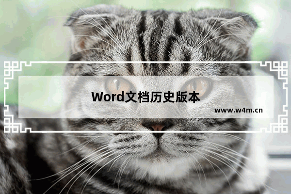 Word文档历史版本