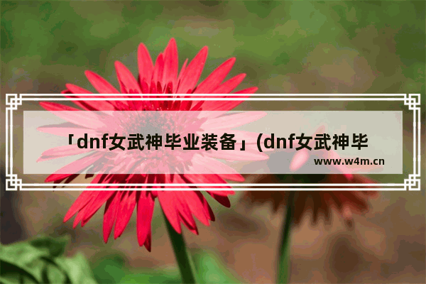 「dnf女武神毕业装备」(dnf女武神毕业装备选择)