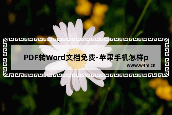 PDF转Word文档免费-苹果手机怎样pdf转word文档免费