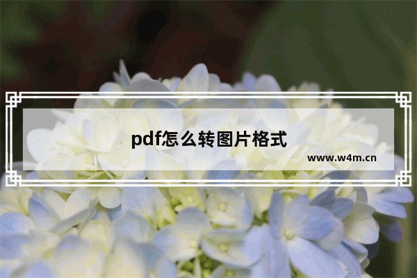 pdf怎么转图片格式