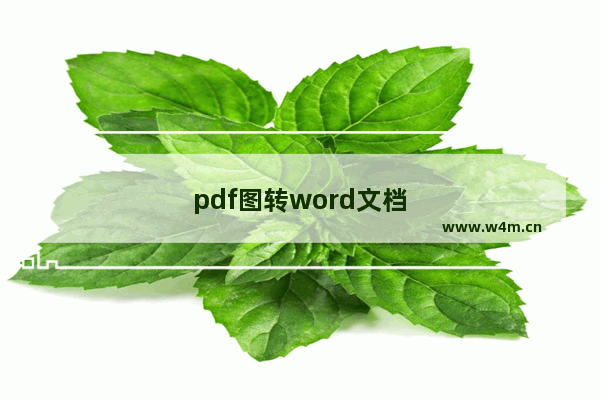 pdf图转word文档