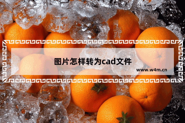 图片怎样转为cad文件