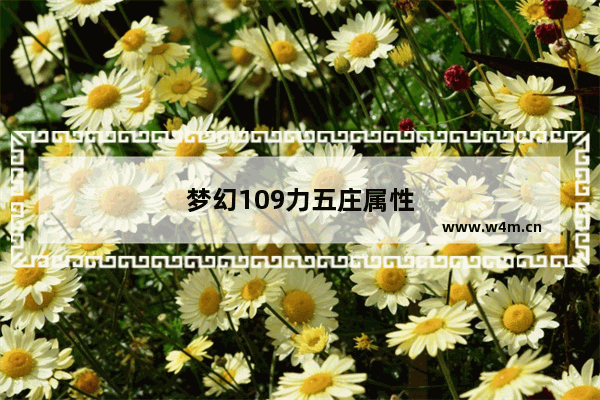 梦幻109力五庄属性