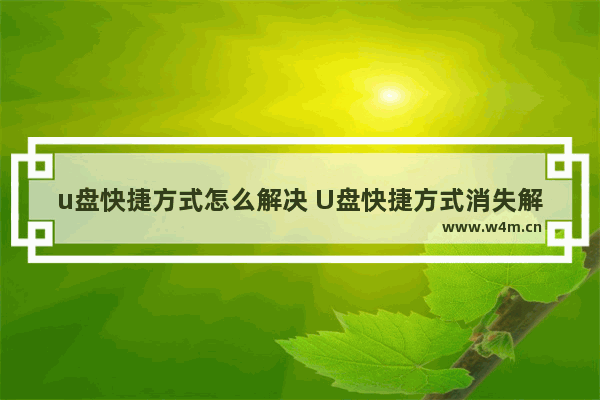 u盘快捷方式怎么解决 U盘快捷方式消失解决方法