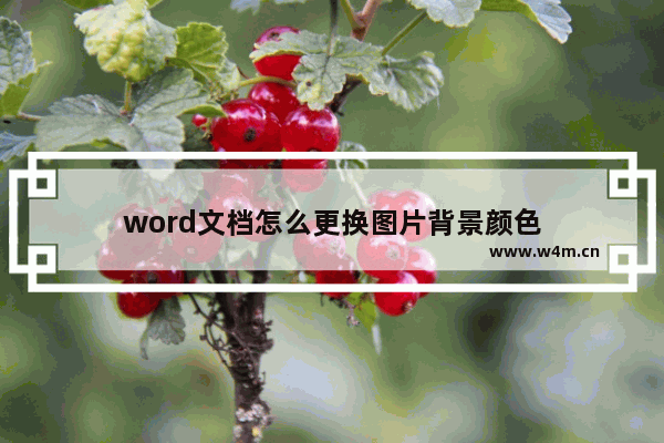 word文档怎么更换图片背景颜色