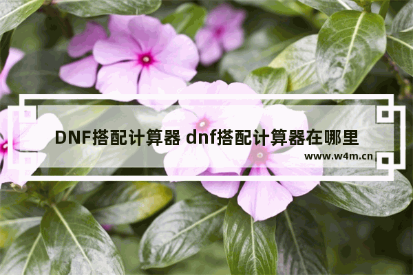 DNF搭配计算器 dnf搭配计算器在哪里