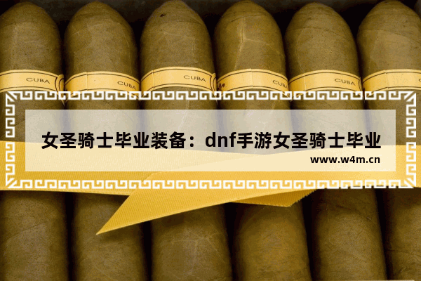 女圣骑士毕业装备：dnf手游女圣骑士毕业装备