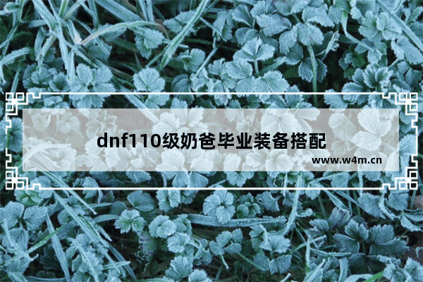 dnf110级奶爸毕业装备搭配