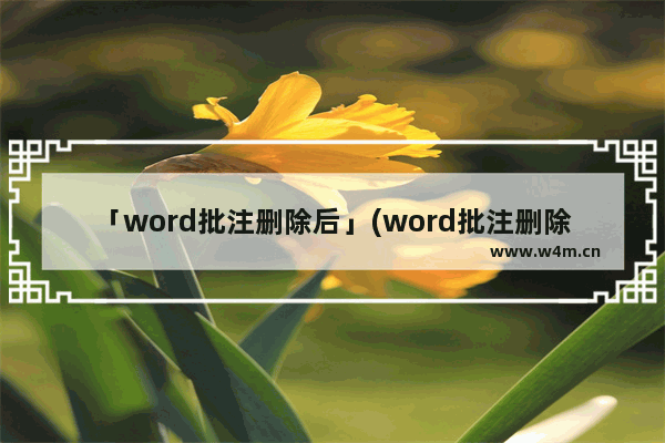 「word批注删除后」(word批注删除后重新打开批注又出来了为什么)