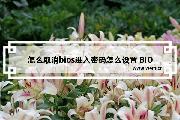 怎么取消bios进入密码怎么设置 BIOS密码的取消和设置方法