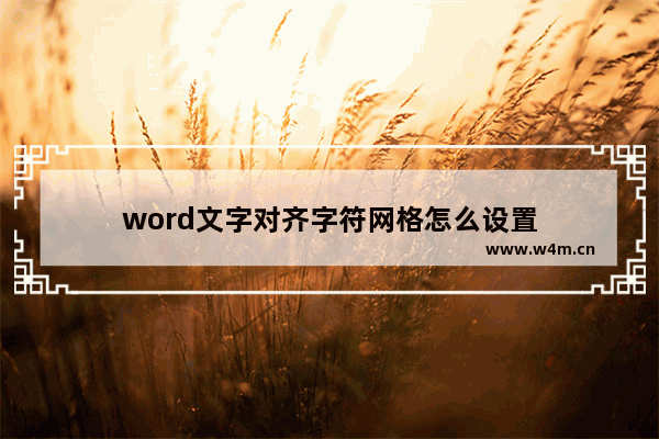 word文字对齐字符网格怎么设置