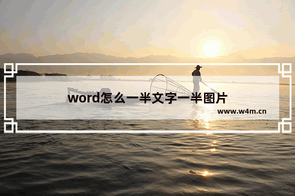 word怎么一半文字一半图片