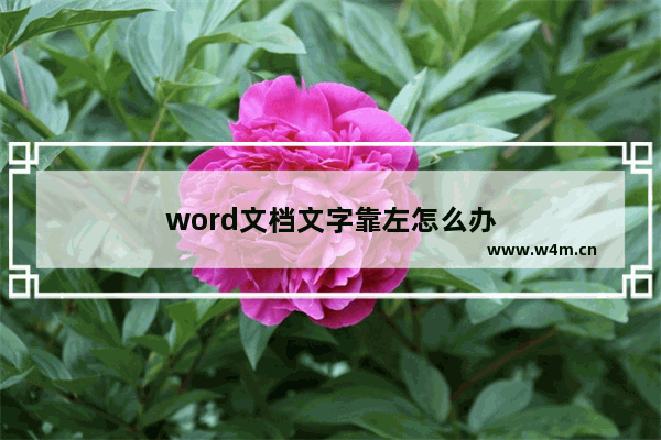 word文档文字靠左怎么办