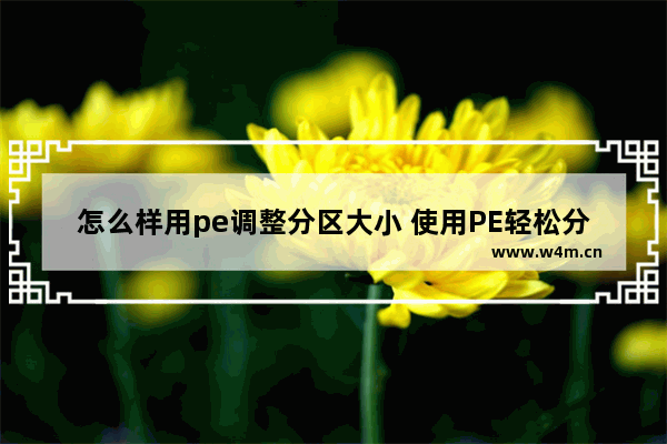 怎么样用pe调整分区大小 使用PE轻松分区大小调整