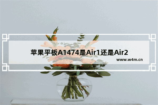 苹果平板A1474是Air1还是Air2