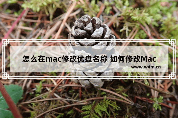 怎么在mac修改优盘名称 如何修改Mac上优盘的名字