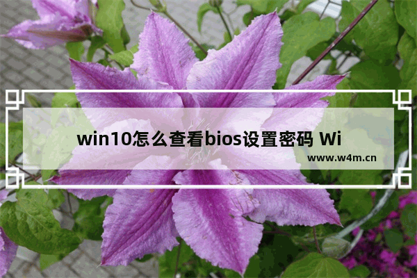 win10怎么查看bios设置密码 Win10如何查询BIOS密码