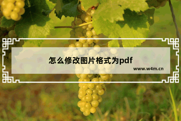 怎么修改图片格式为pdf