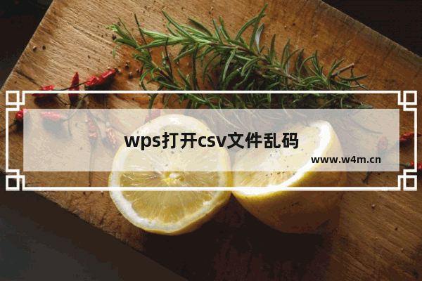 wps打开csv文件乱码