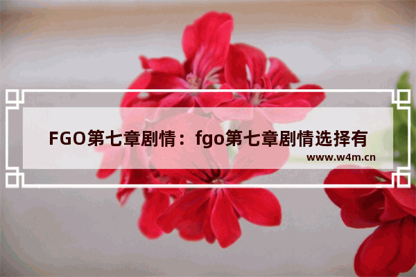 FGO第七章剧情：fgo第七章剧情选择有影响吗