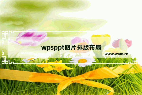 wpsppt图片排版布局