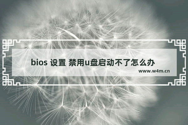 bios 设置 禁用u盘启动不了怎么办 禁用U盘启动后如何解决无法启动问题