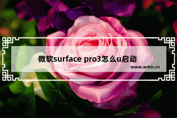 微软surface pro3怎么u启动 微软Surface Pro3如何进行U盘启动