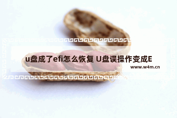 u盘成了efi怎么恢复 U盘误操作变成EFI启动，如何恢复？