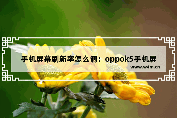 手机屏幕刷新率怎么调：oppok5手机屏幕刷新率怎么调