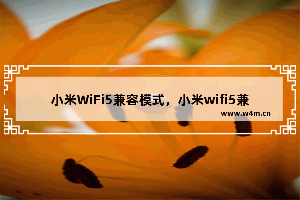 小米WiFi5兼容模式，小米wifi5兼容模式是什么