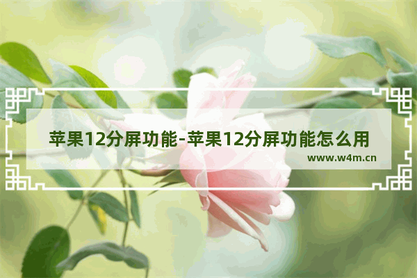 苹果12分屏功能-苹果12分屏功能怎么用