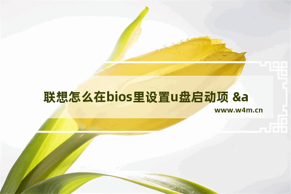 联想怎么在bios里设置u盘启动项 "联想BIOS设置U盘启动"