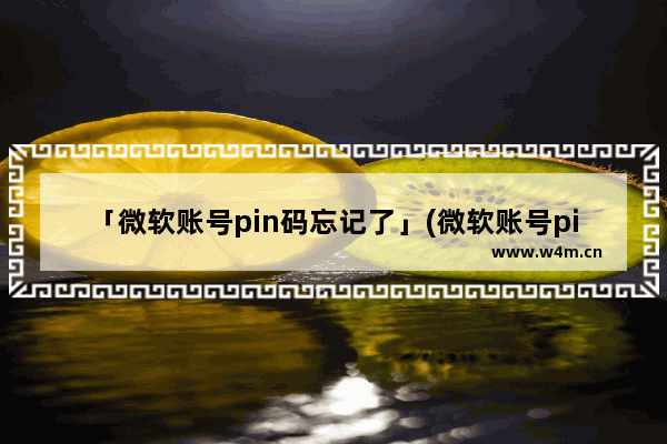 「微软账号pin码忘记了」(微软账号pin码忘记了如何进pe)