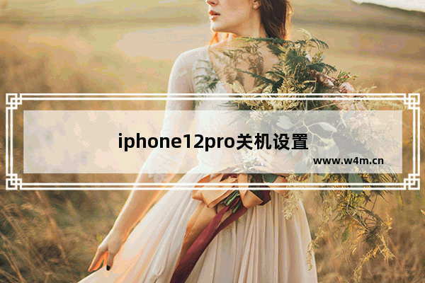 iphone12pro关机设置